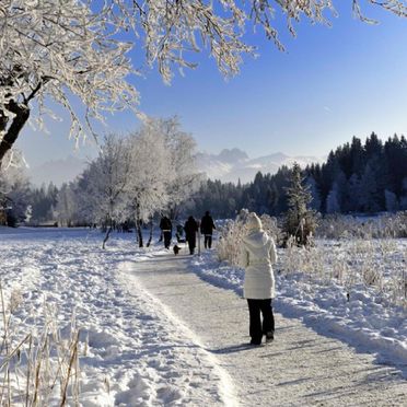 Aktivitäten Scharnitz Seefeld und Umgebung Gästehaus Helga
