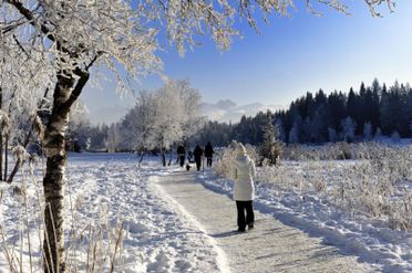 Aktivitäten Scharnitz Seefeld und Umgebung Gästehaus Helga